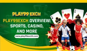 Read more about the article Play99Exch Overview: Sports, Casino, and More